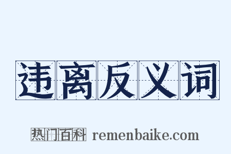 违离反义词是什么意思的图片